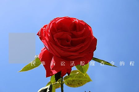 民事诉讼法院搜查令的程序 民事诉讼法院搜查令的程序