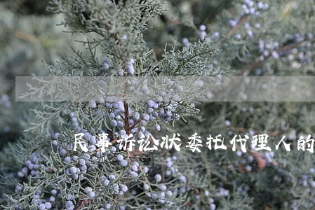 民事诉讼状委托代理人的范文 民事诉讼状委托代理人的范文
