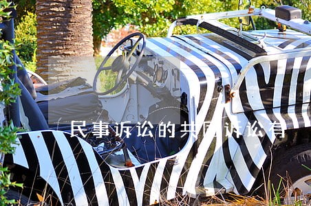 民事诉讼的共同诉讼有