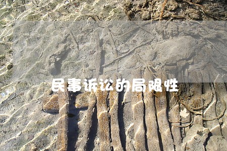 民事诉讼的局限性 民事诉讼的局限性