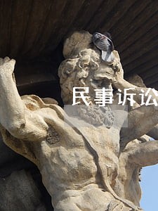 民事诉讼的核心 民事诉讼的核心