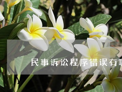 民事诉讼程序错误有哪些