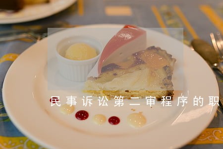民事诉讼第二审程序的职能 民事诉讼第二审程序的职能
