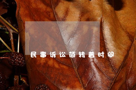民事诉讼简转普时间 民事诉讼简转普时间