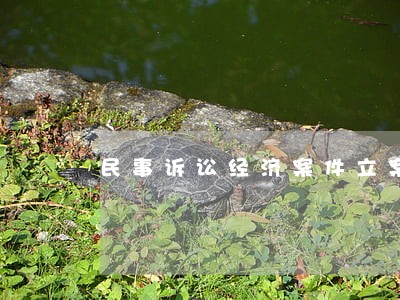 民事诉讼经济案件立案标准 民事诉讼经济案件立案标准