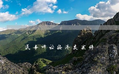 民事诉讼经济类案件 民事诉讼经济类案件