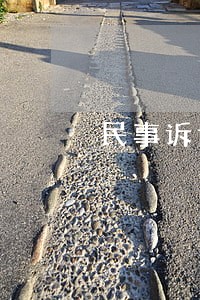 民事诉讼经费谁出 民事诉讼经费谁出