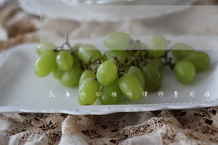 民事诉讼胜诉律师费用谁承担 民事诉讼胜诉律师费用谁承担