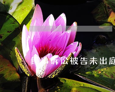 民事诉讼被告未出庭 民事诉讼被告未出庭