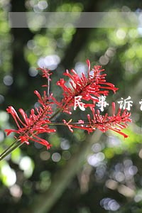 民事诉讼被告说没钱会拘留吗 民事诉讼被告说没钱会拘留吗