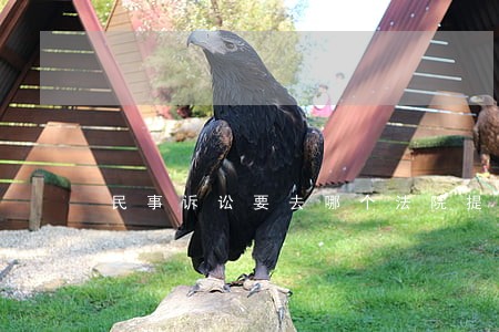 民事诉讼要去哪个法院提起诉讼