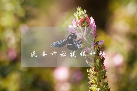 民事诉讼视频辩解 民事诉讼视频辩解