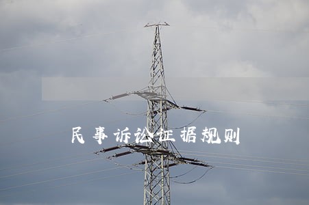 民事诉讼证据规则