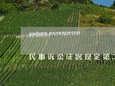 民事诉讼证据规定第二条 民事诉讼证据规定第二条