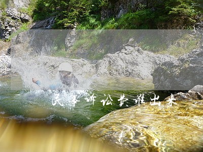 民事诉讼费谁出来