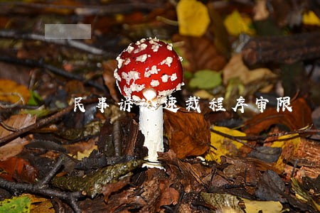 民事诉讼速裁程序审限