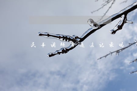 民事调解有违法记录吗 民事调解有违法记录吗