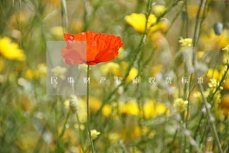 民事财产律师收费标准 民事财产律师收费标准