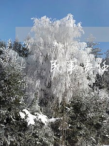 民事责任信用卡逾期