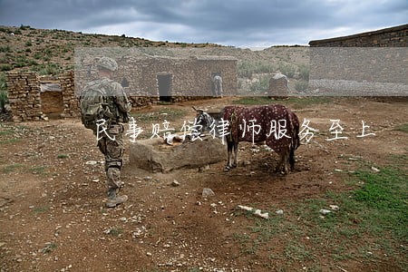 民事赔偿律师服务至上 民事赔偿律师服务至上