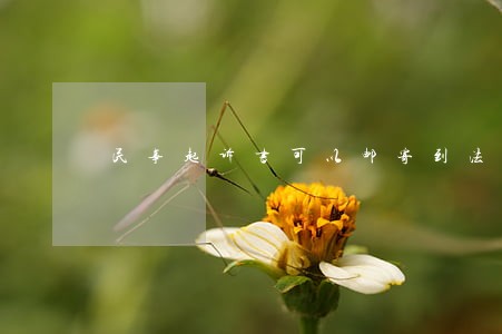 民事起诉书可以邮寄到法院吗