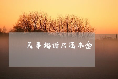 民事起诉只还本金