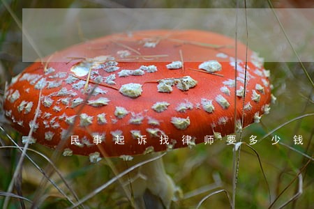 民事起诉找律师要多少钱 民事起诉找律师要多少钱