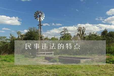 民事违法的特点 民事违法的特点