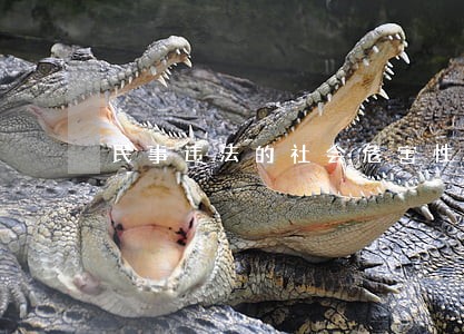 民事违法的社会危害性 民事违法的社会危害性