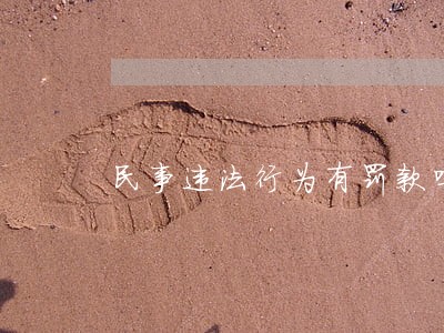 民事违法行为有罚款吗 民事违法行为有罚款吗