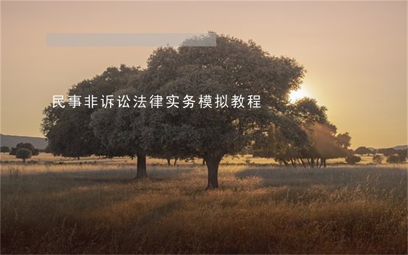 民事非诉讼法律实务模拟教程 民事非诉讼法律实务模拟教程