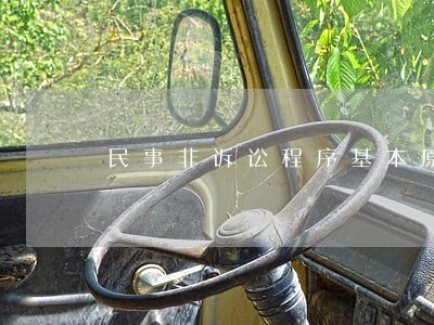 民事非诉讼程序基本原理 民事非诉讼程序基本原理