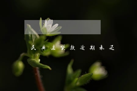 民典法贷款逾期未还 民典法贷款逾期未还