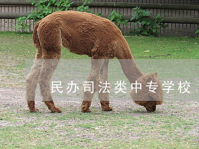 民办司法类中专学校 民办司法类中专学校
