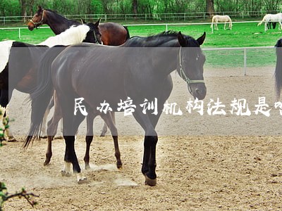 民办培训机构法规是啥