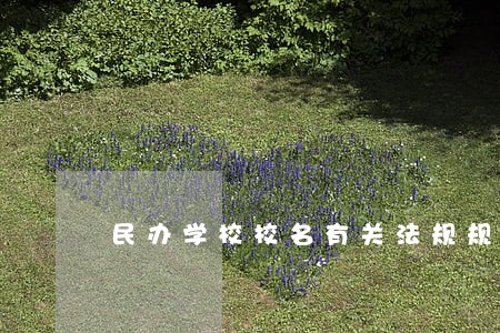 民办学校校名有关法规规定 民办学校校名有关法规规定