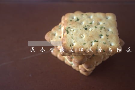 民办学校法律风险与防范策略 民办学校法律风险与防范策略