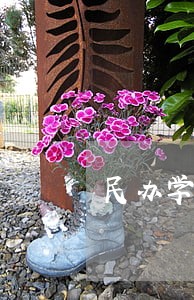 民办学校的对公账户法院能冻结吗 民办学校的对公账户法院能冻结吗