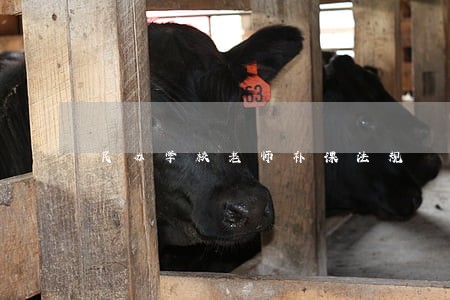 民办学校老师补课法规 民办学校老师补课法规