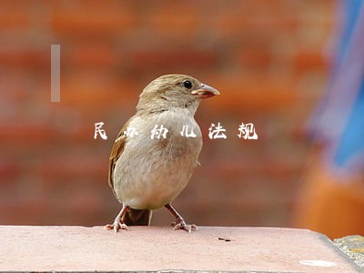 民办幼儿法规 民办幼儿法规