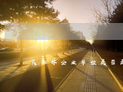 民办非企业单位是否是诉讼主体