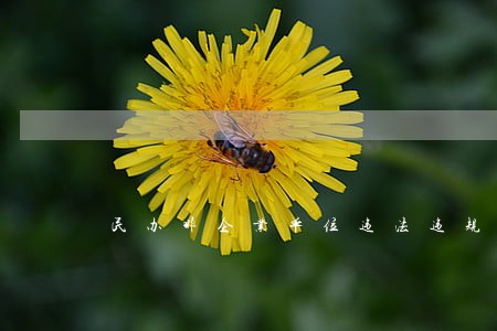 民办非企业单位违法违规 民办非企业单位违法违规