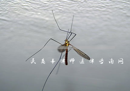 民商事律师法律咨询网 民商事律师法律咨询网