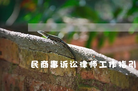 民商事诉讼律师工作指引 民商事诉讼律师工作指引