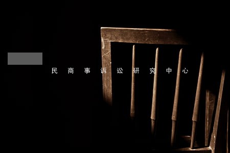民商事诉讼研究中心 民商事诉讼研究中心