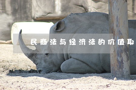 民商法与经济法的价值取向 民商法与经济法的价值取向