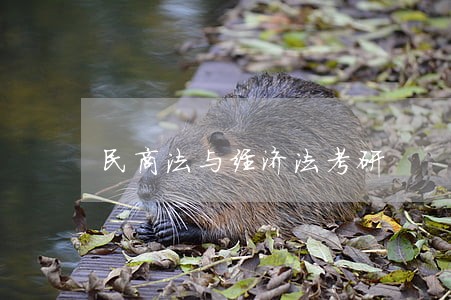 民商法与经济法考研 民商法与经济法考研