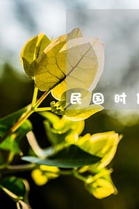 民国时期泗阳有法院吗 民国时期泗阳有法院吗