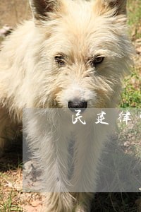 民建律师会议 民建律师会议