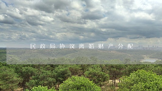 民政局协议离婚财产分配 民政局协议离婚财产分配